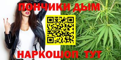 ГАЛЛЮЦИНОГЕННЫЕ ГРИБЫ Кингисепп